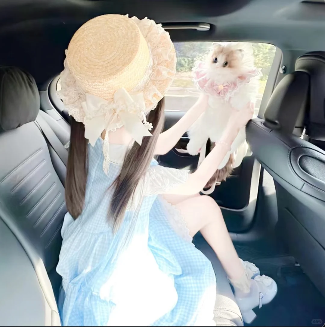 萌妹头像՞˶˃ ᵕ ˂˶՞
