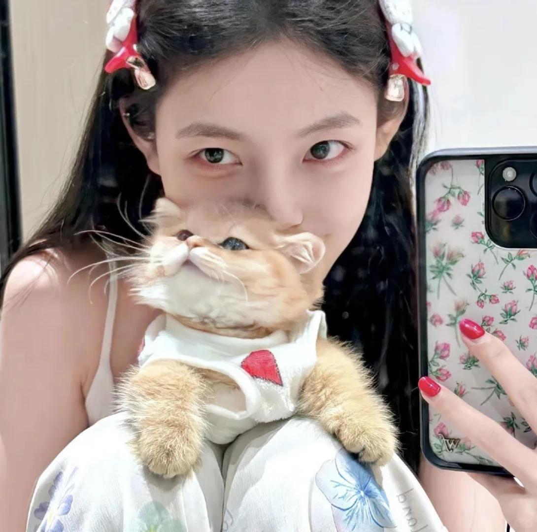 𝙒𝙚𝘾𝙝𝙖𝙩 / 甜美女头🐰