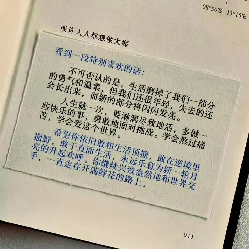 𝙒𝙚𝘾𝙝𝙖𝙩 / 女头➕背景图🍃