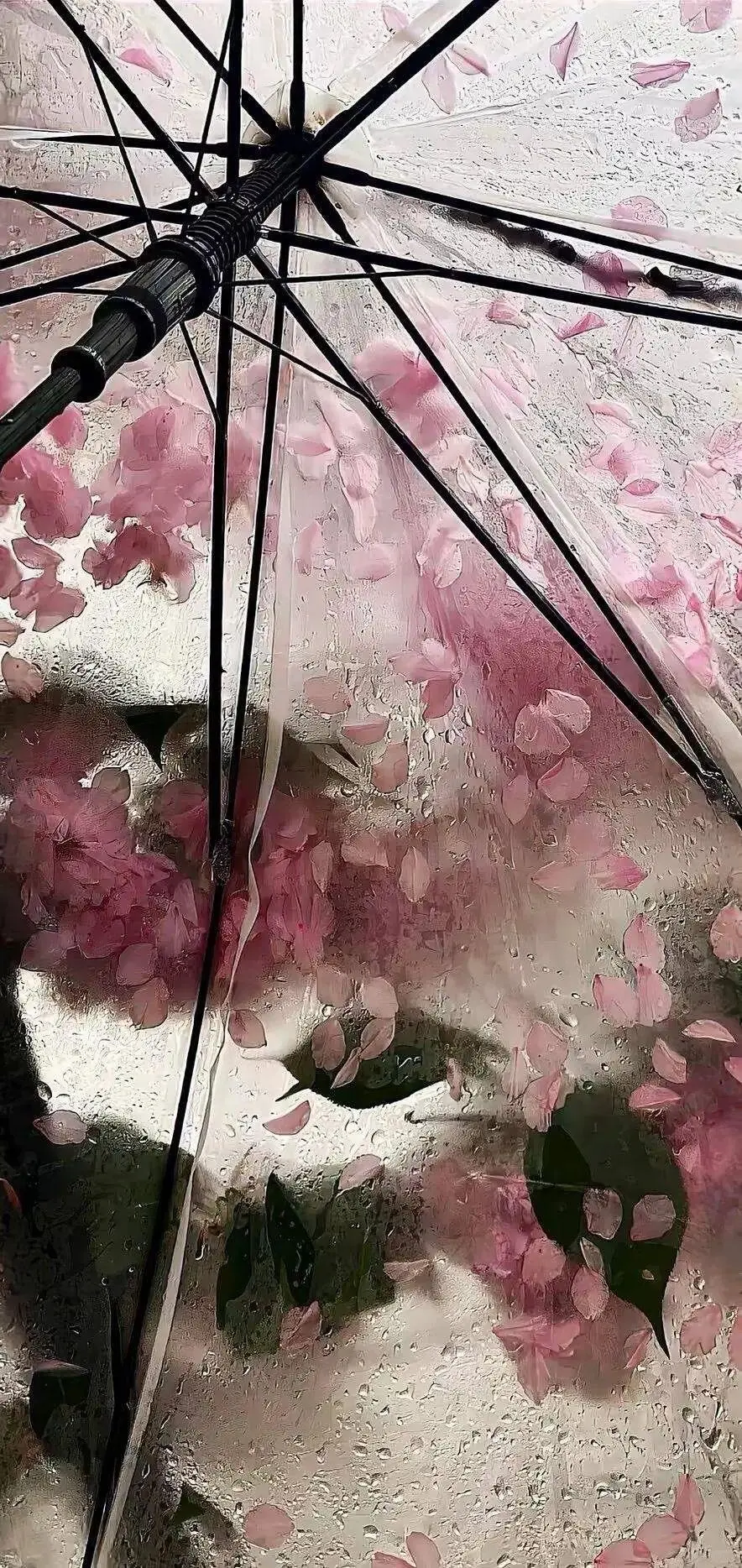 雨季°. ֹ☆ ᮫ 壁纸