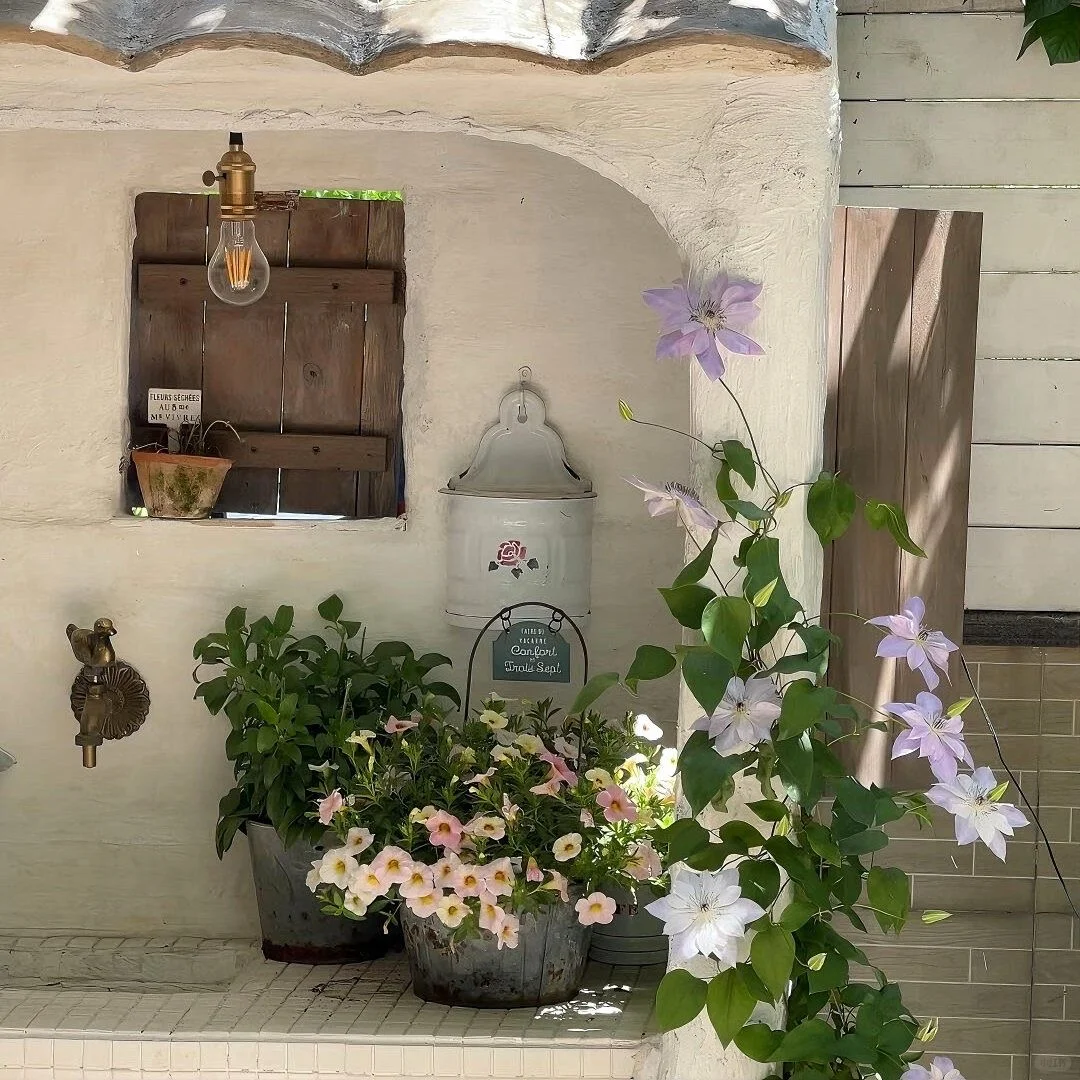 𝙒𝙚𝘾𝙝𝙖𝙩 / 女头➕背景图🍃