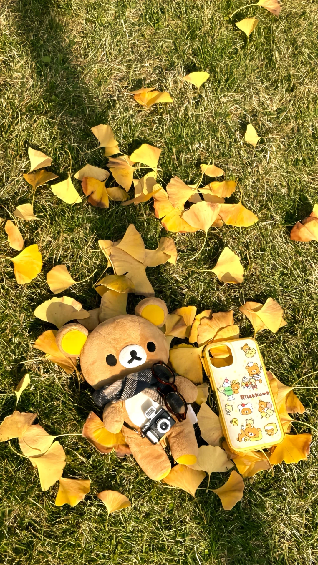 🍁🍂