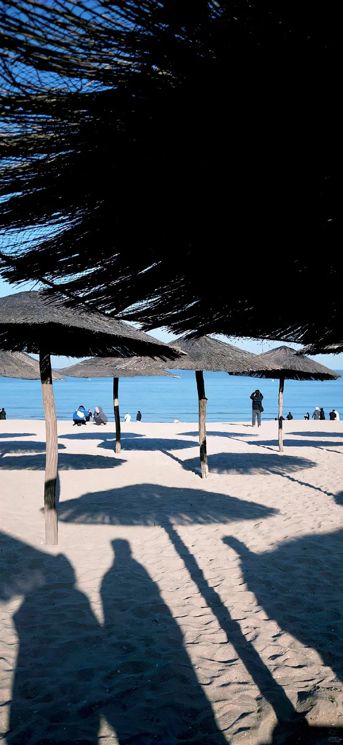 🏝️｜夏天当然要去海边！