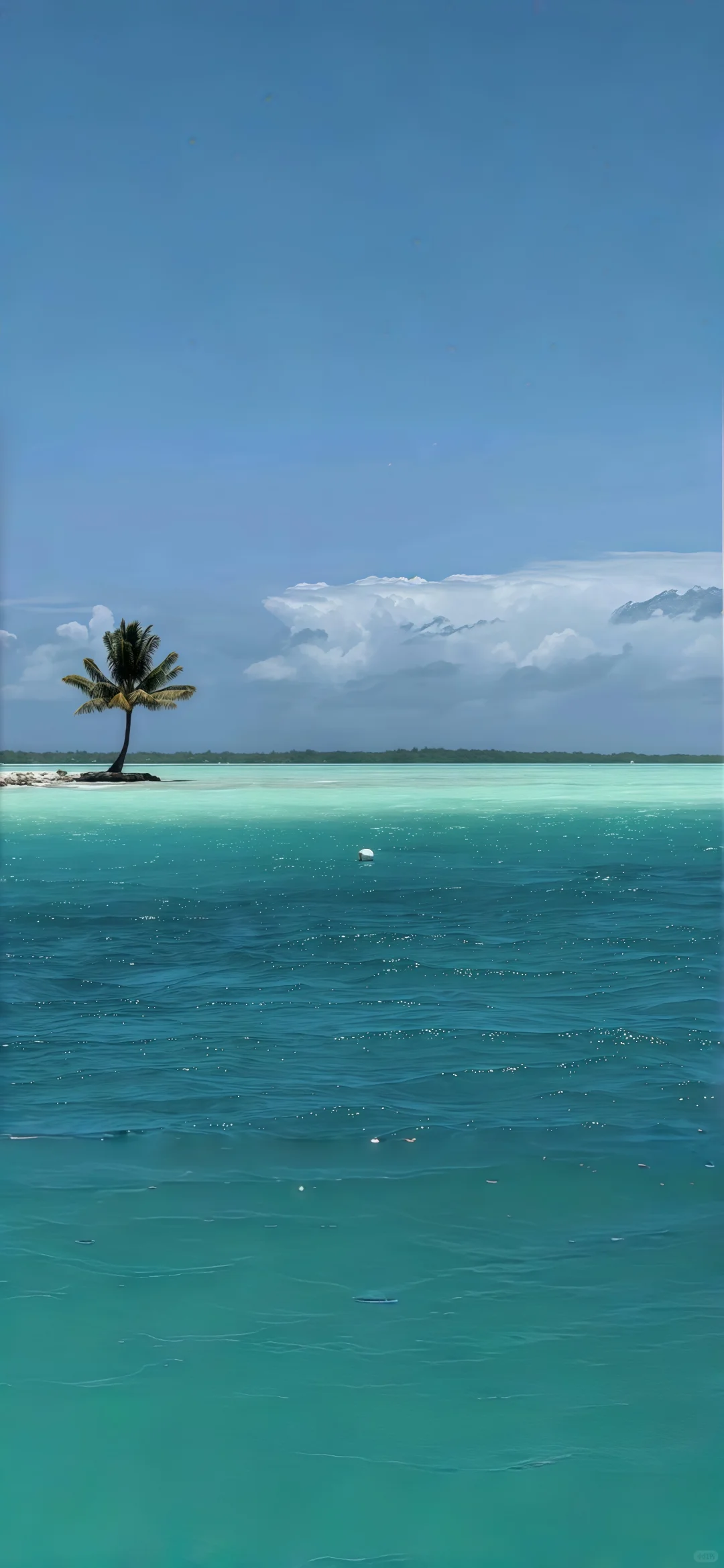 🏝️｜夏天当然要去海边！