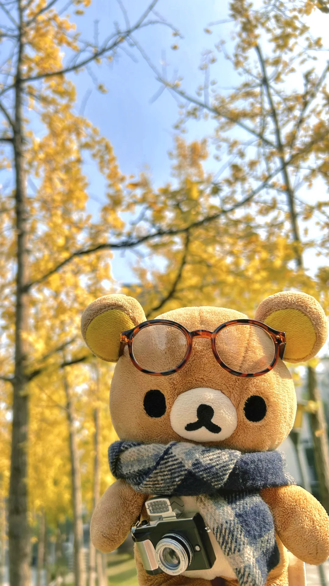 🍁🍂