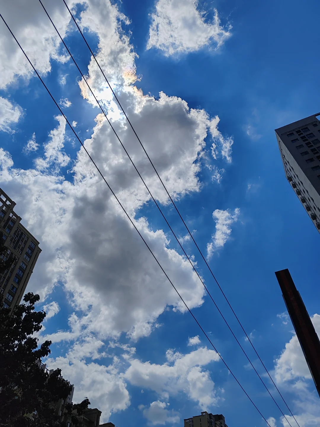 三伏天，燃烧我的卡路里！