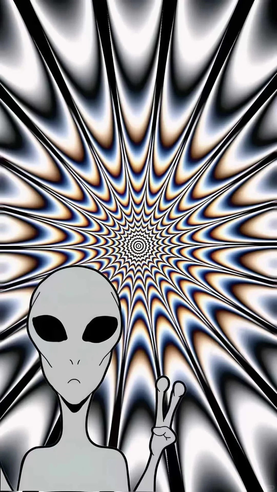 全面屏壁纸推荐.黑白