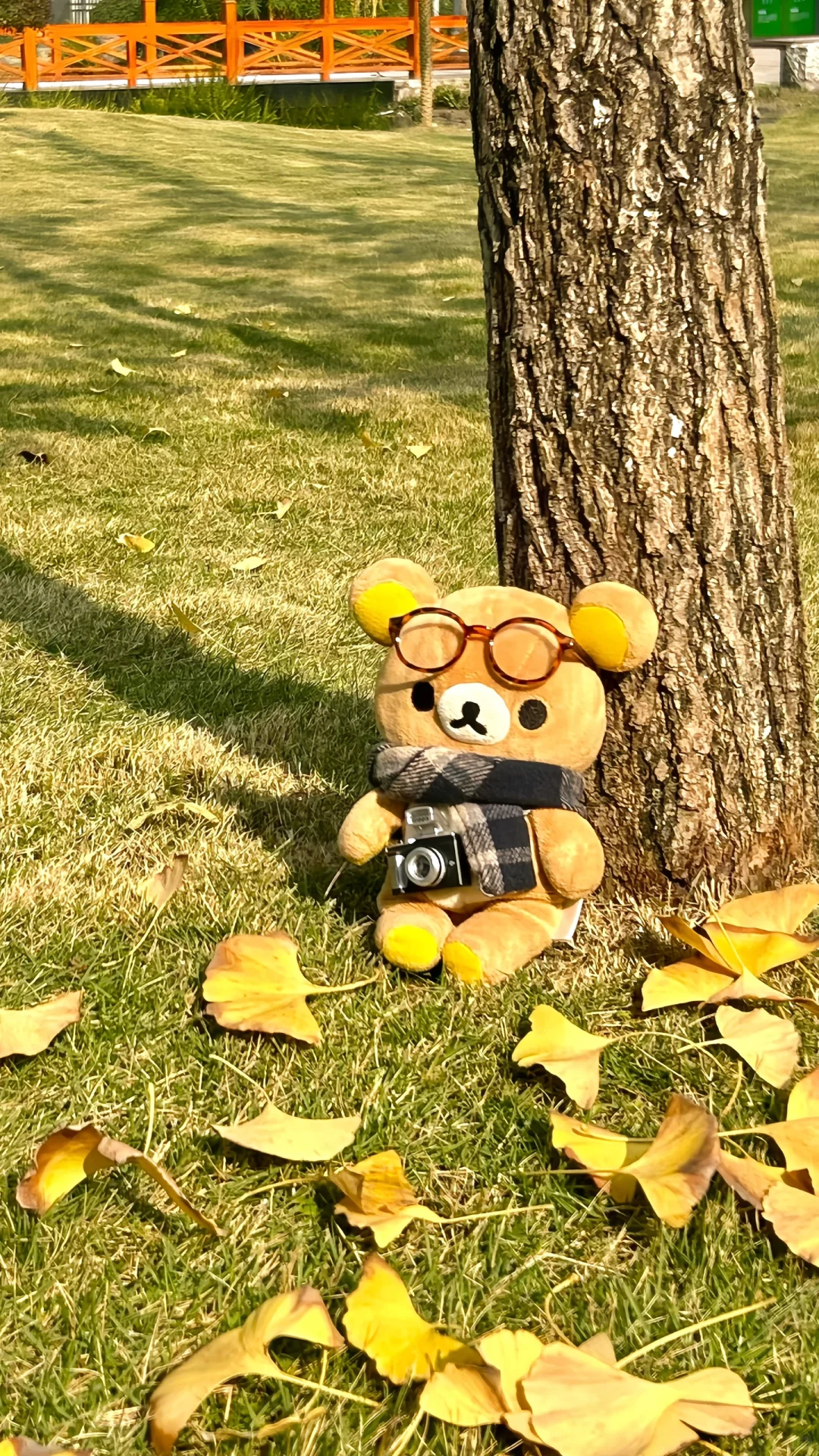 🍁🍂