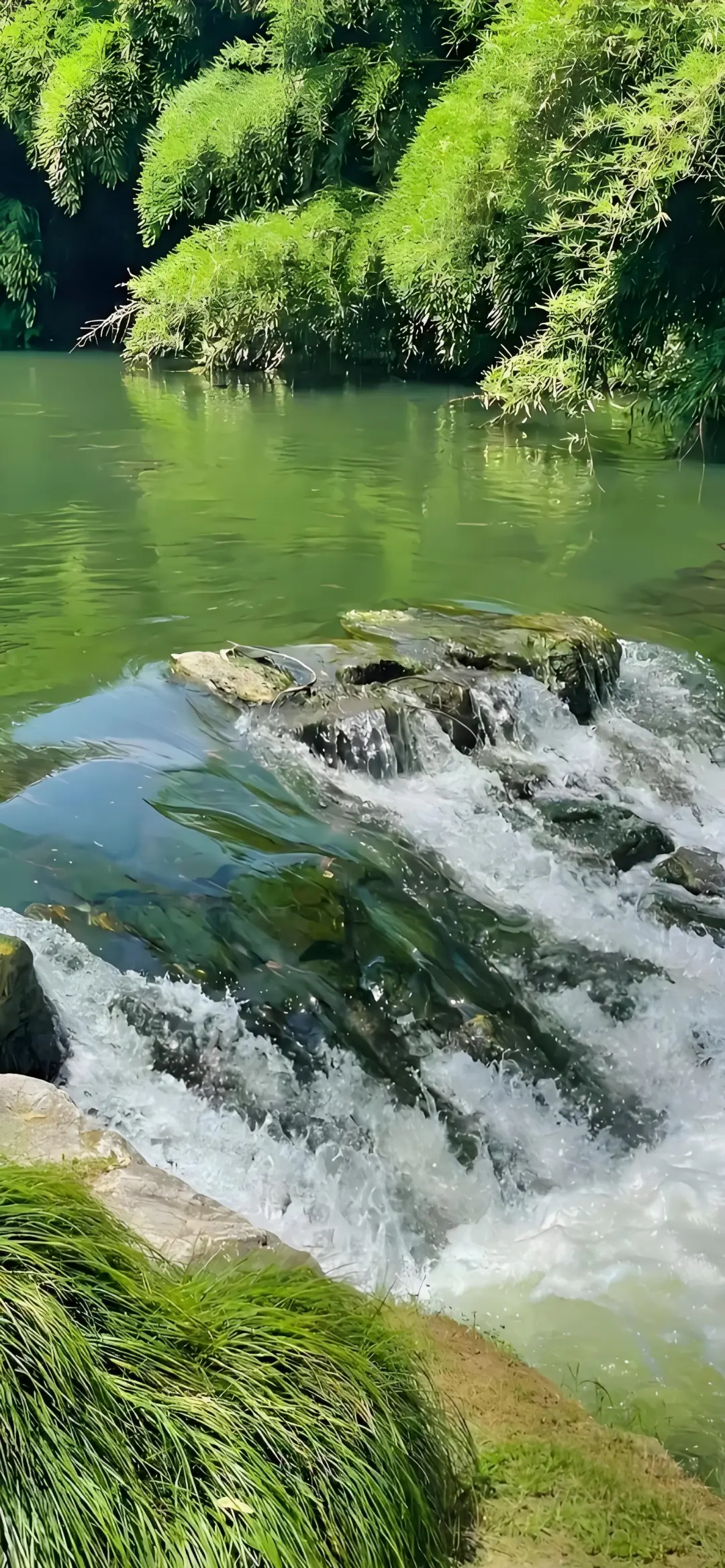 私藏 | 山川湖海壁纸② 水是自由的，你也是