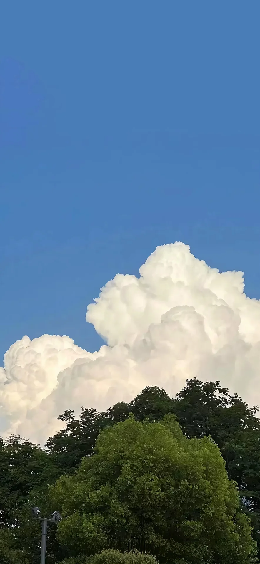 能看云朵的天气，好幸福呀☁️
