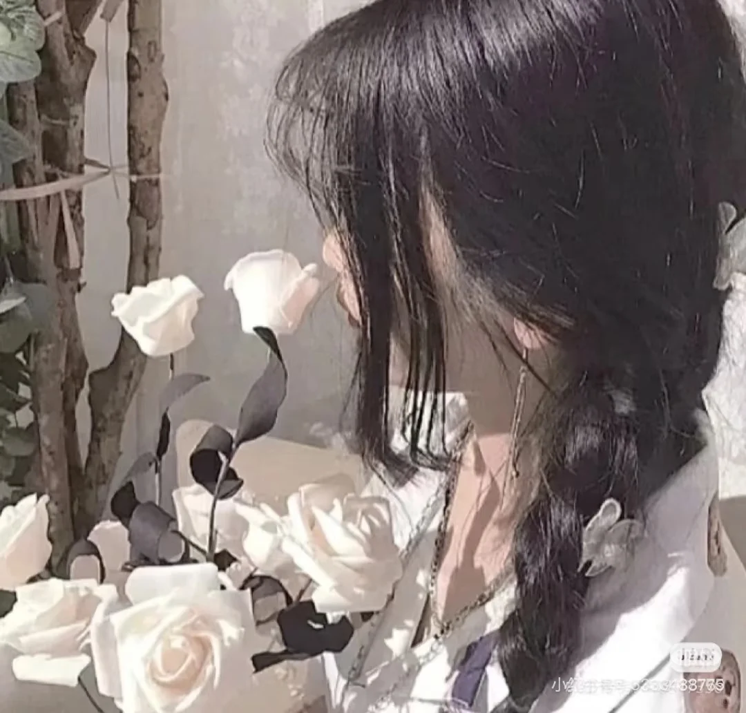 美女的美照