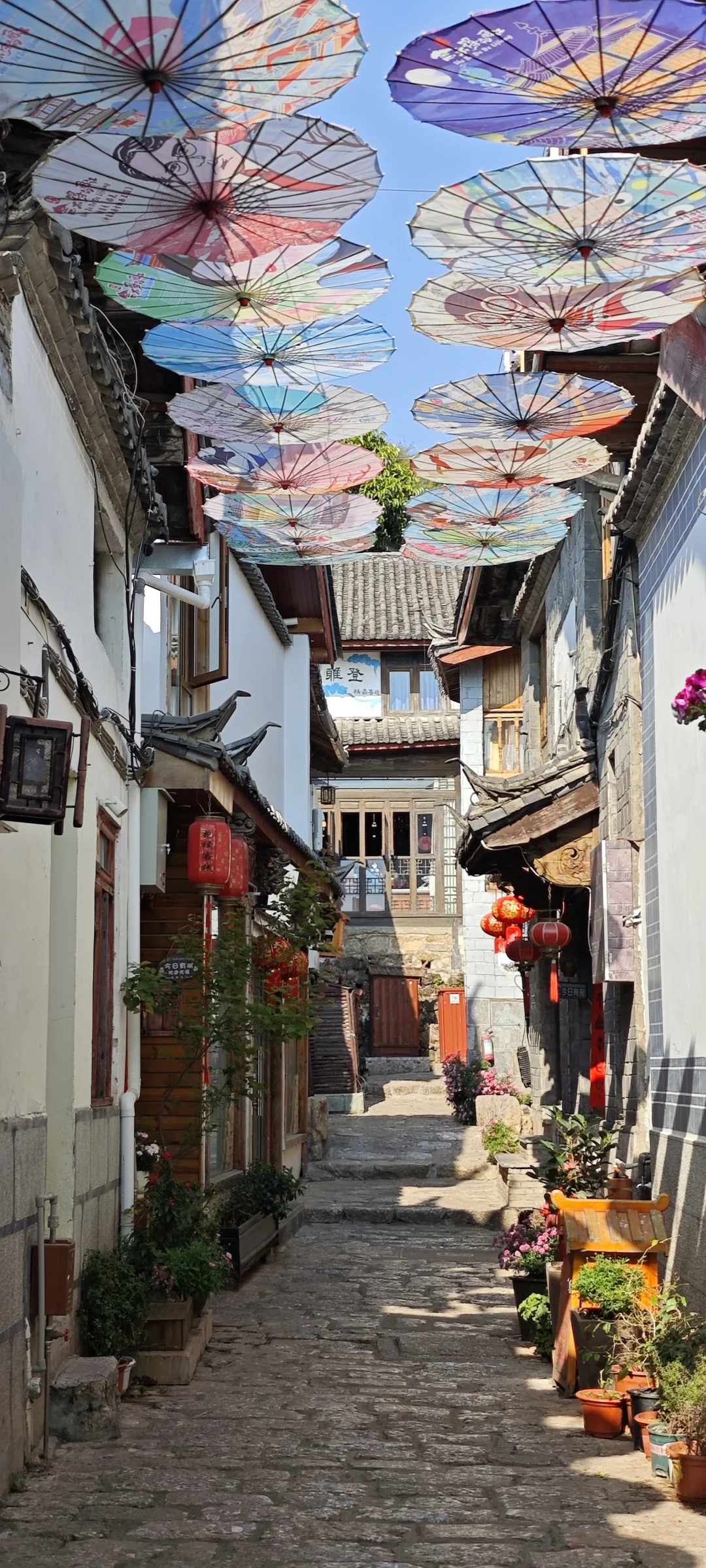 【壁纸收割机】丽江古城随手拍