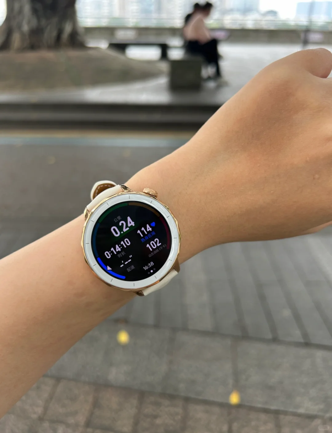 跑步也能卷，还提醒我控制热量