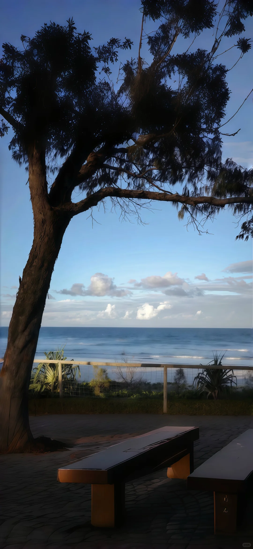 🏝️｜夏天当然要去海边！