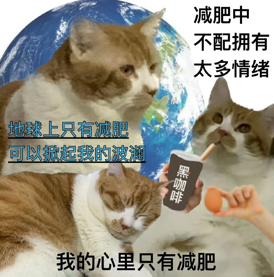 每天吃1000卡 瘦了就擦边|已瘦35斤