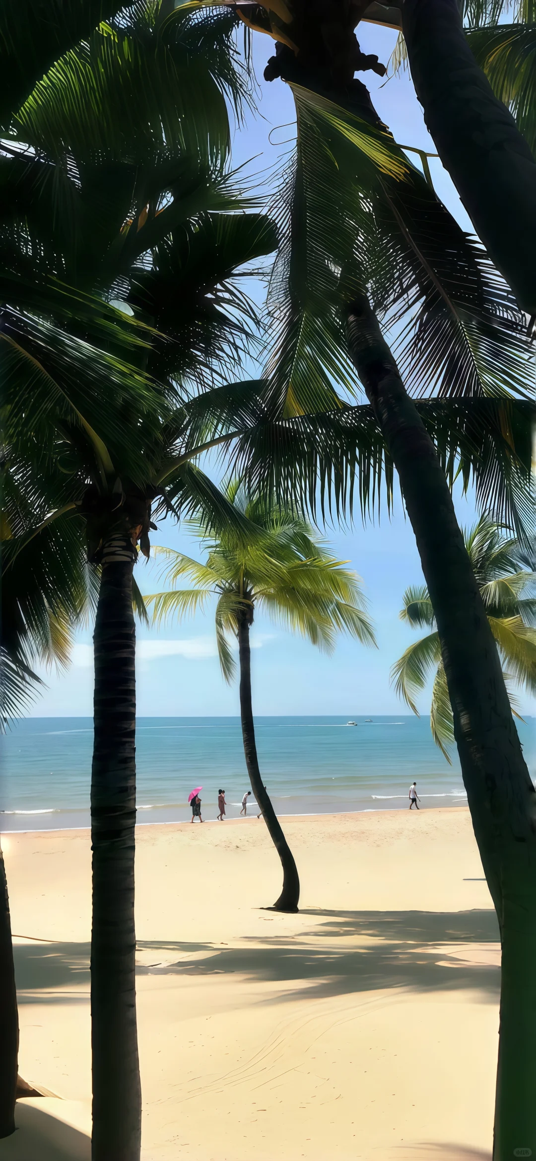 🏝️｜夏天当然要去海边！