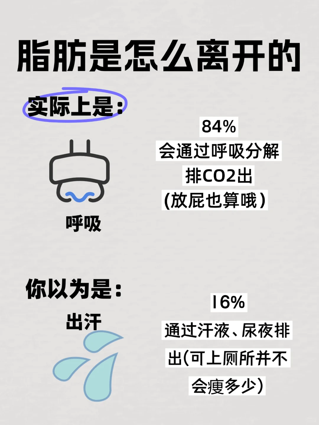 脂肪怎么变少的❗️