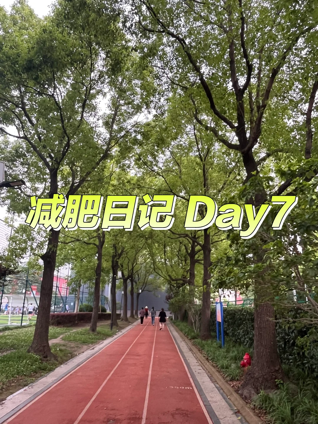燃烧我的卡路路