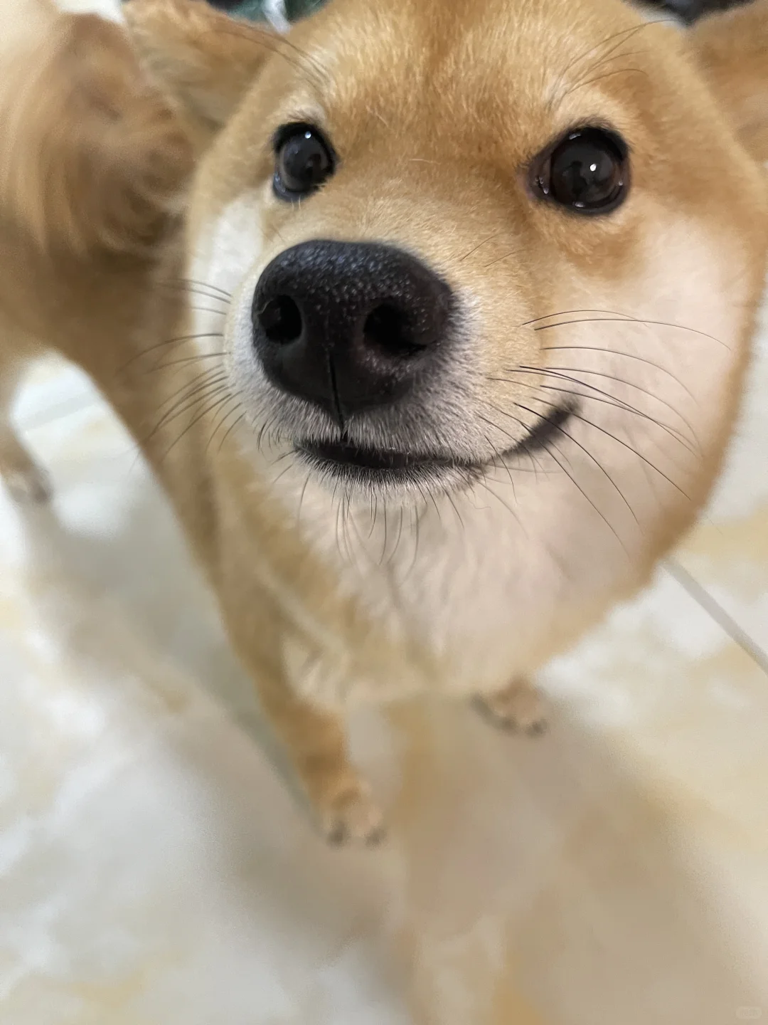黑子说话！相亲说我像女t的出来！