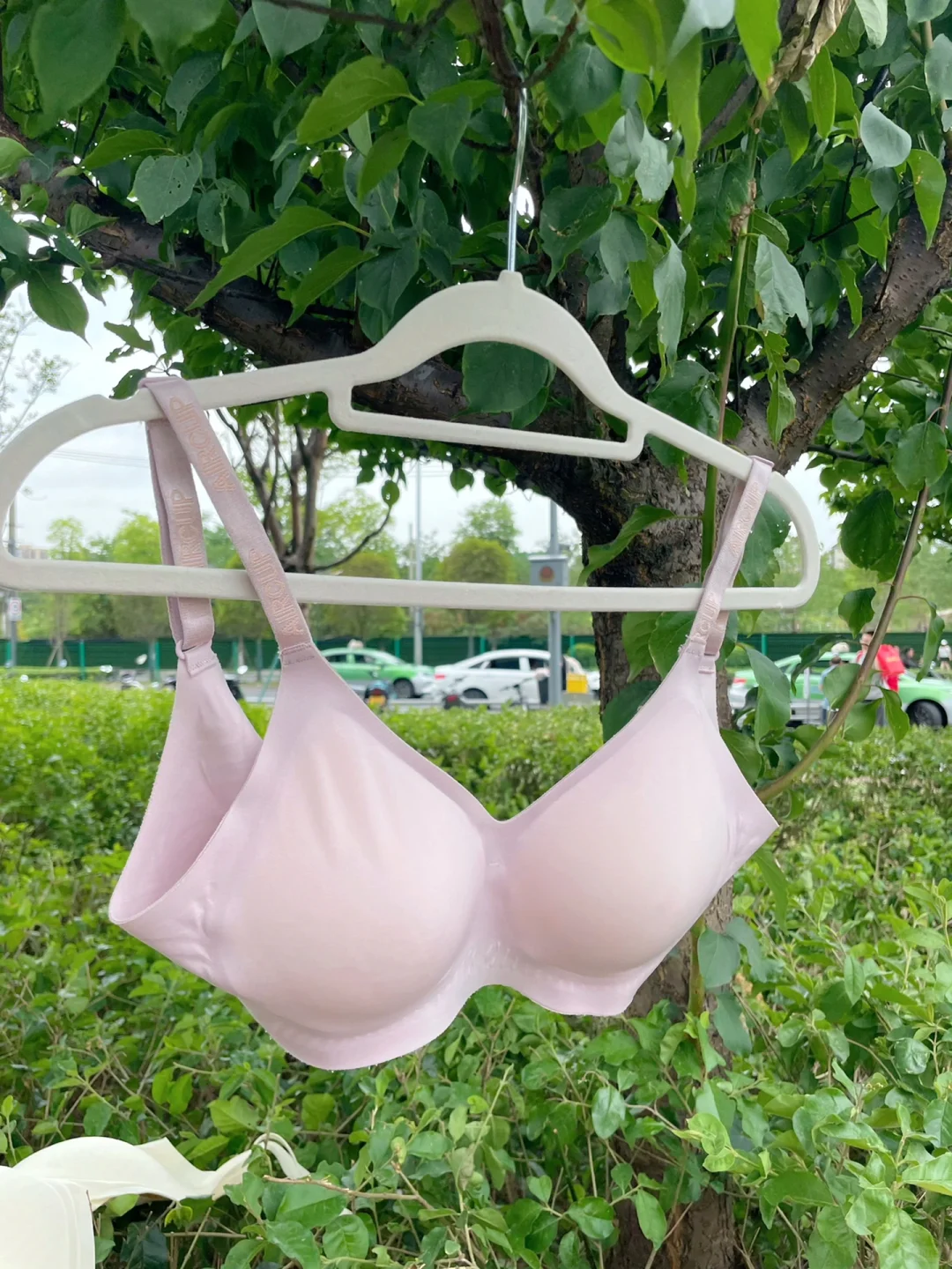 这是高空抛物还是故意的？？？