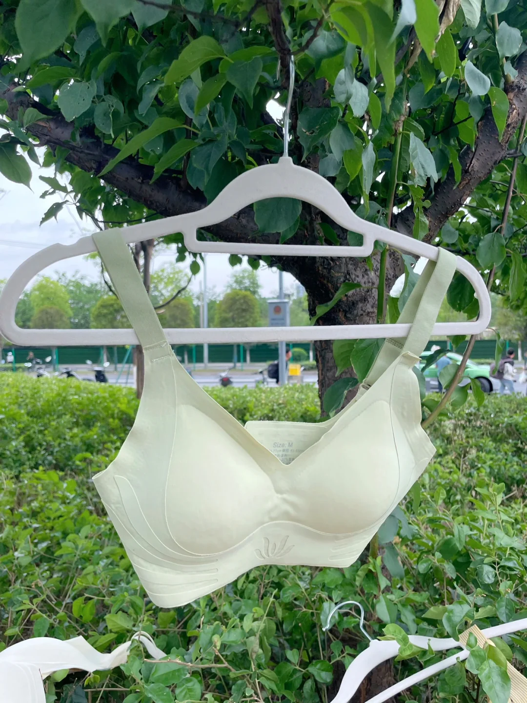 这是高空抛物还是故意的？？？