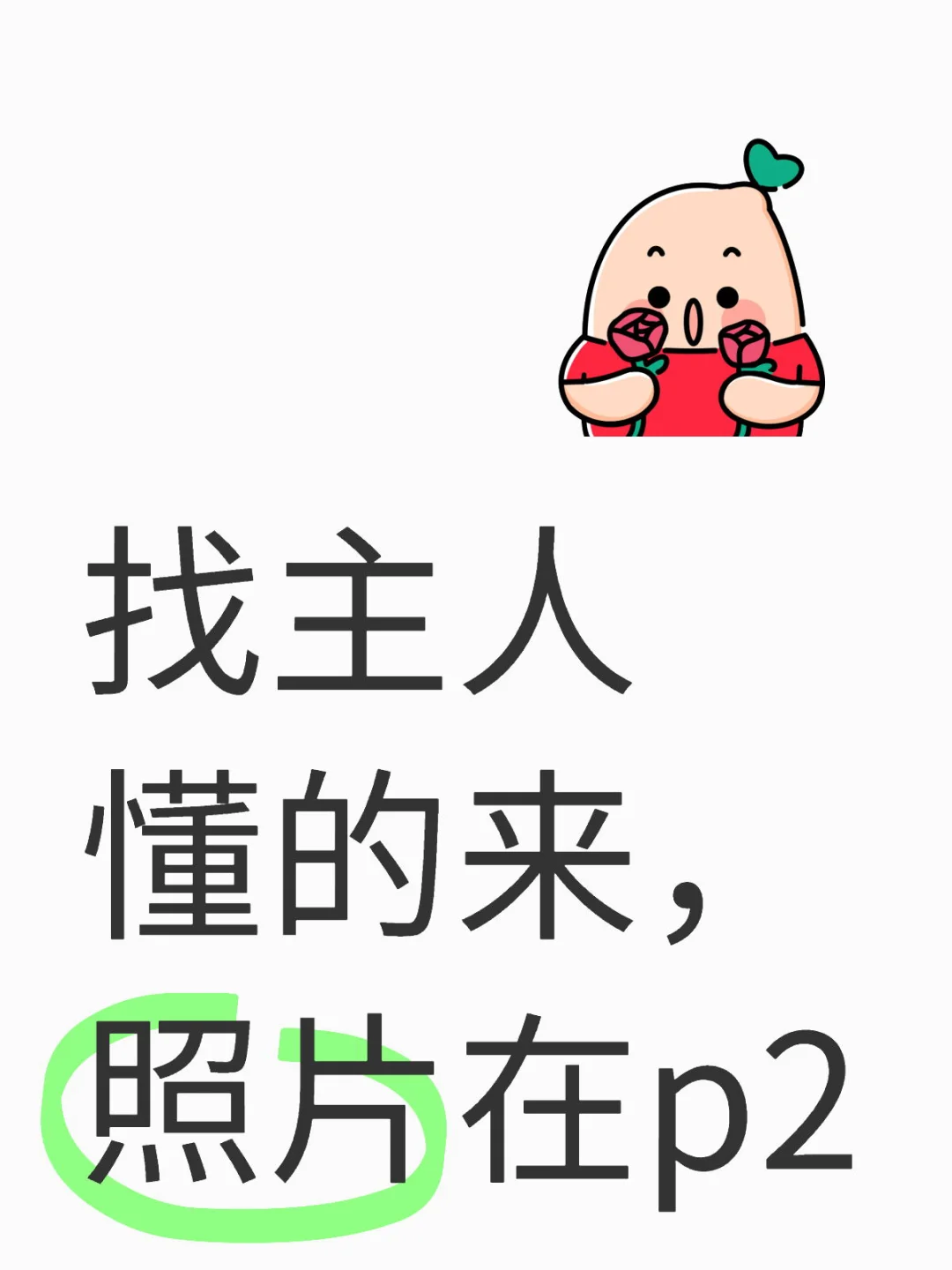 找主人懂的来，照片在p2
