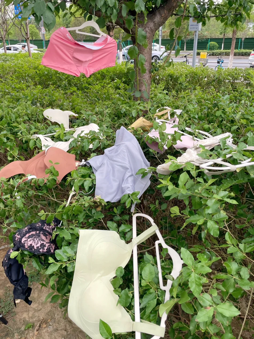 这是高空抛物还是故意的？？？