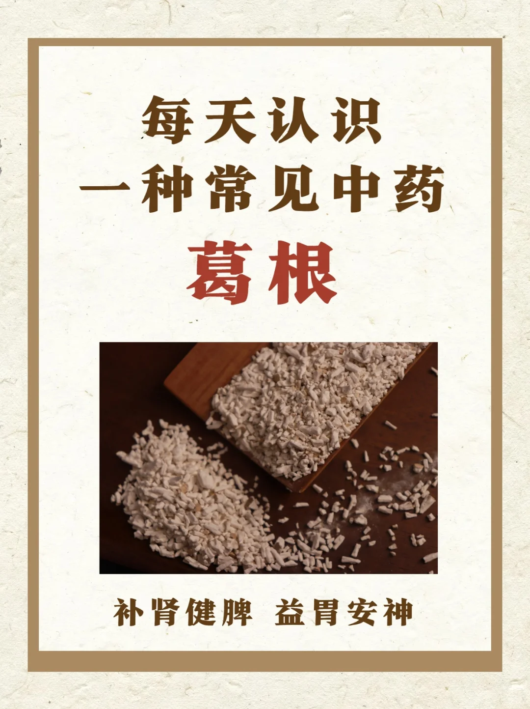 古籍里记载的 “女人参”！🌿