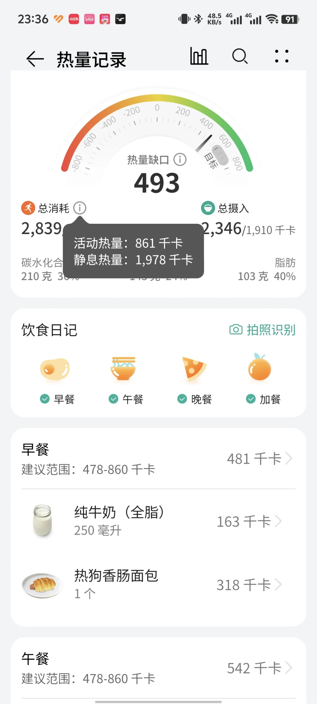 每日热量缺口，今日491大卡