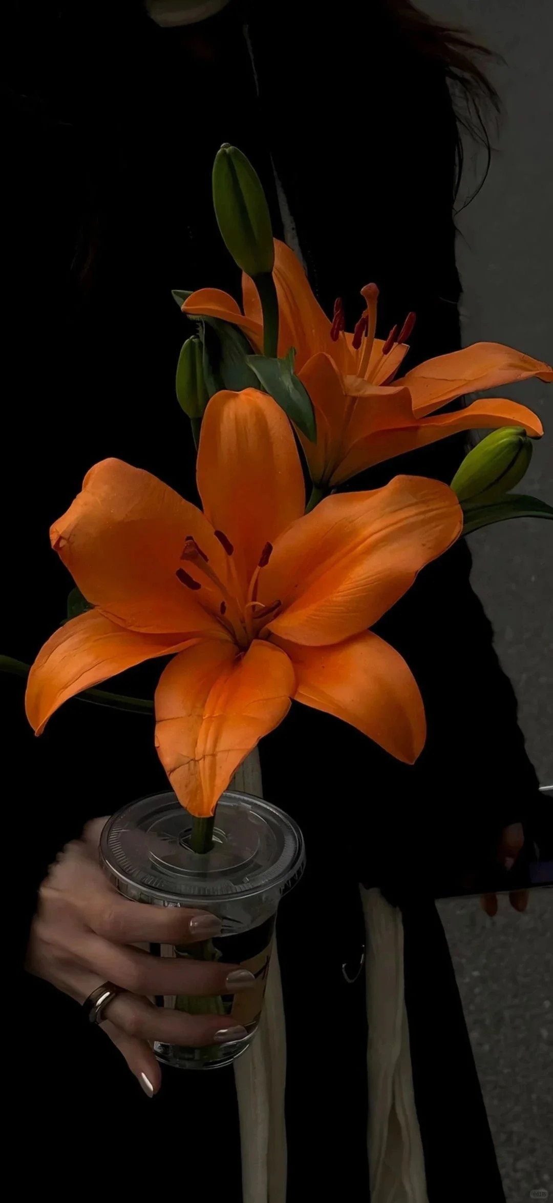 Share /夏日锁屏壁纸7.5🥵
