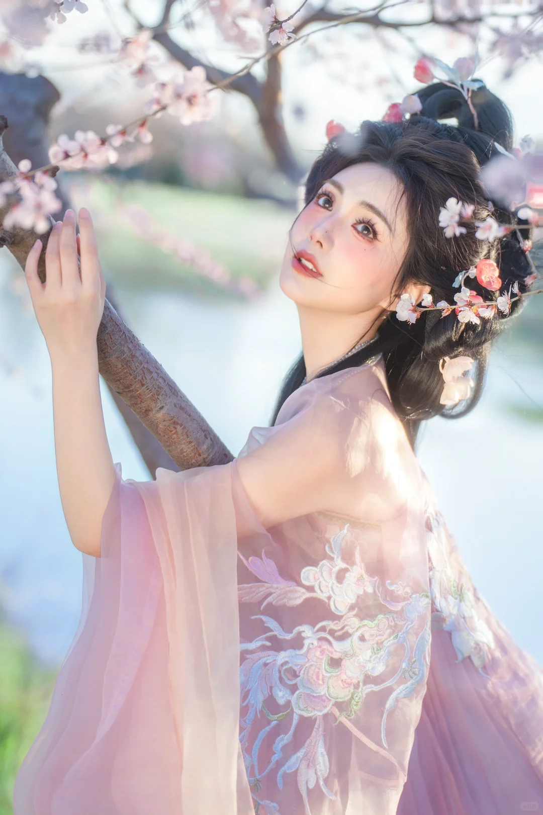 🧚‍♀️🧚‍♀️🧚‍♀️
