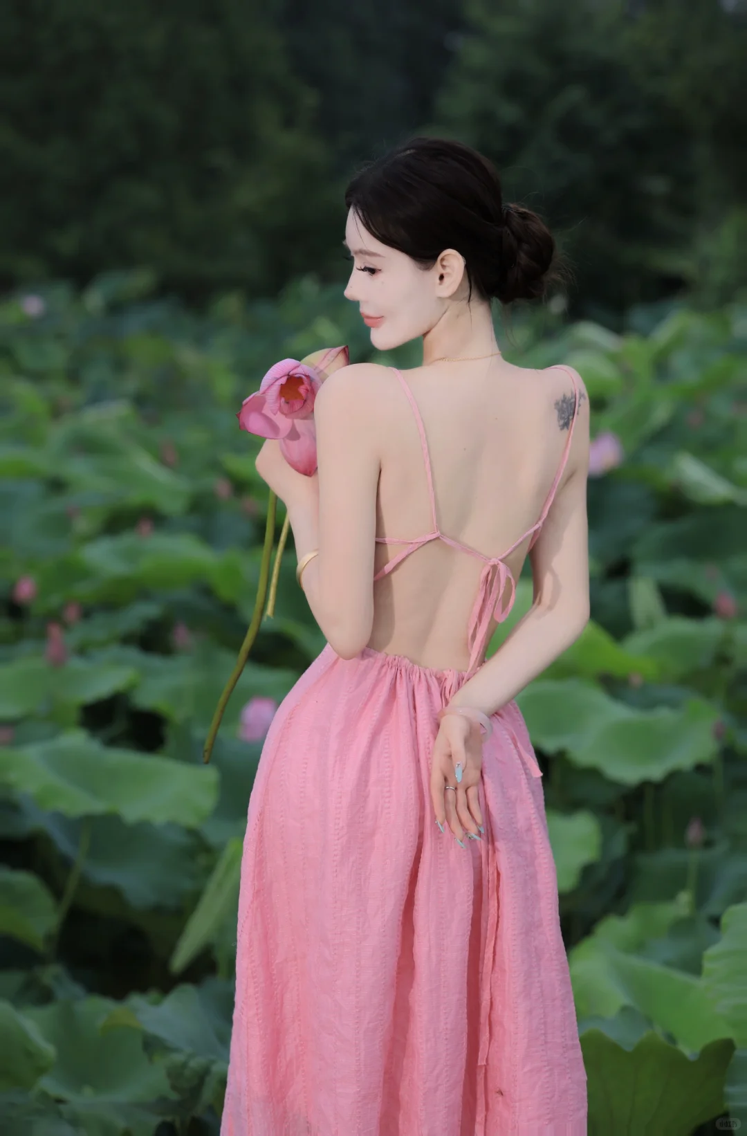 🪷荷花系列🪷