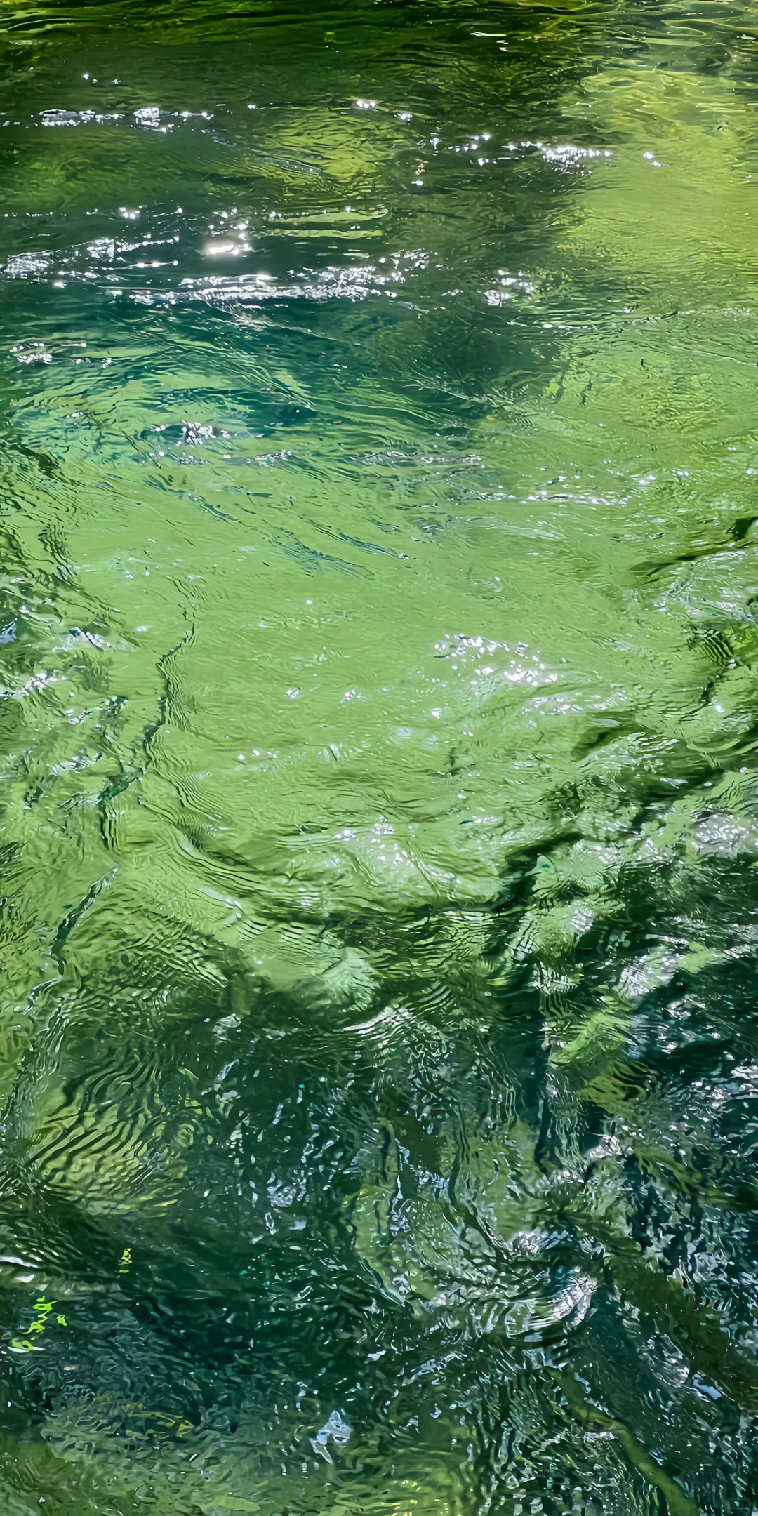 ins水波纹壁纸🌀✩⁺˚♪º·˚﹒ᶻ ᶻ ᶻ