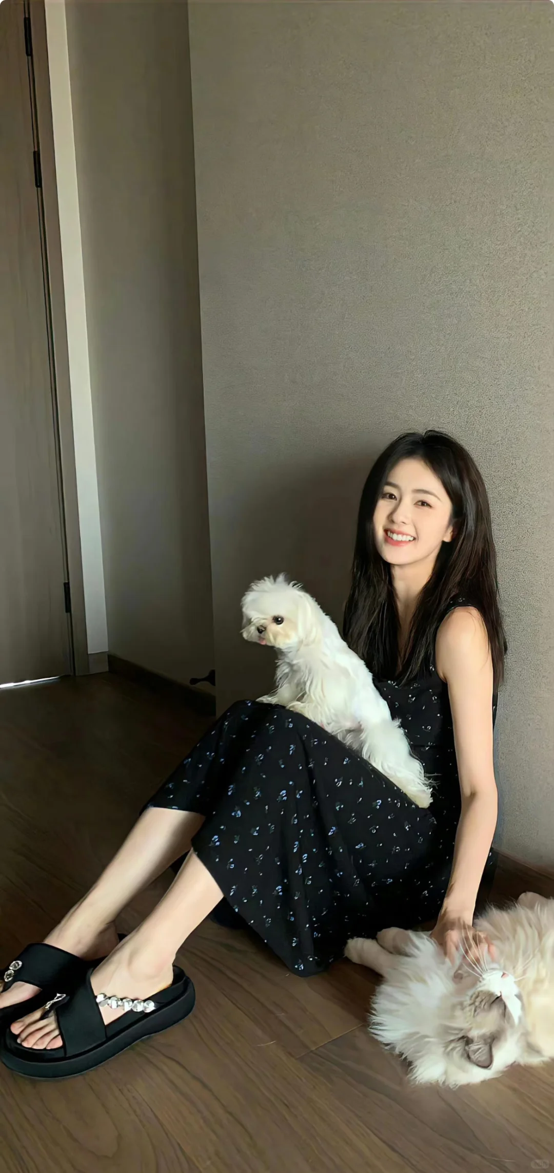 白鹿那些你没见过的绝版高清壁纸