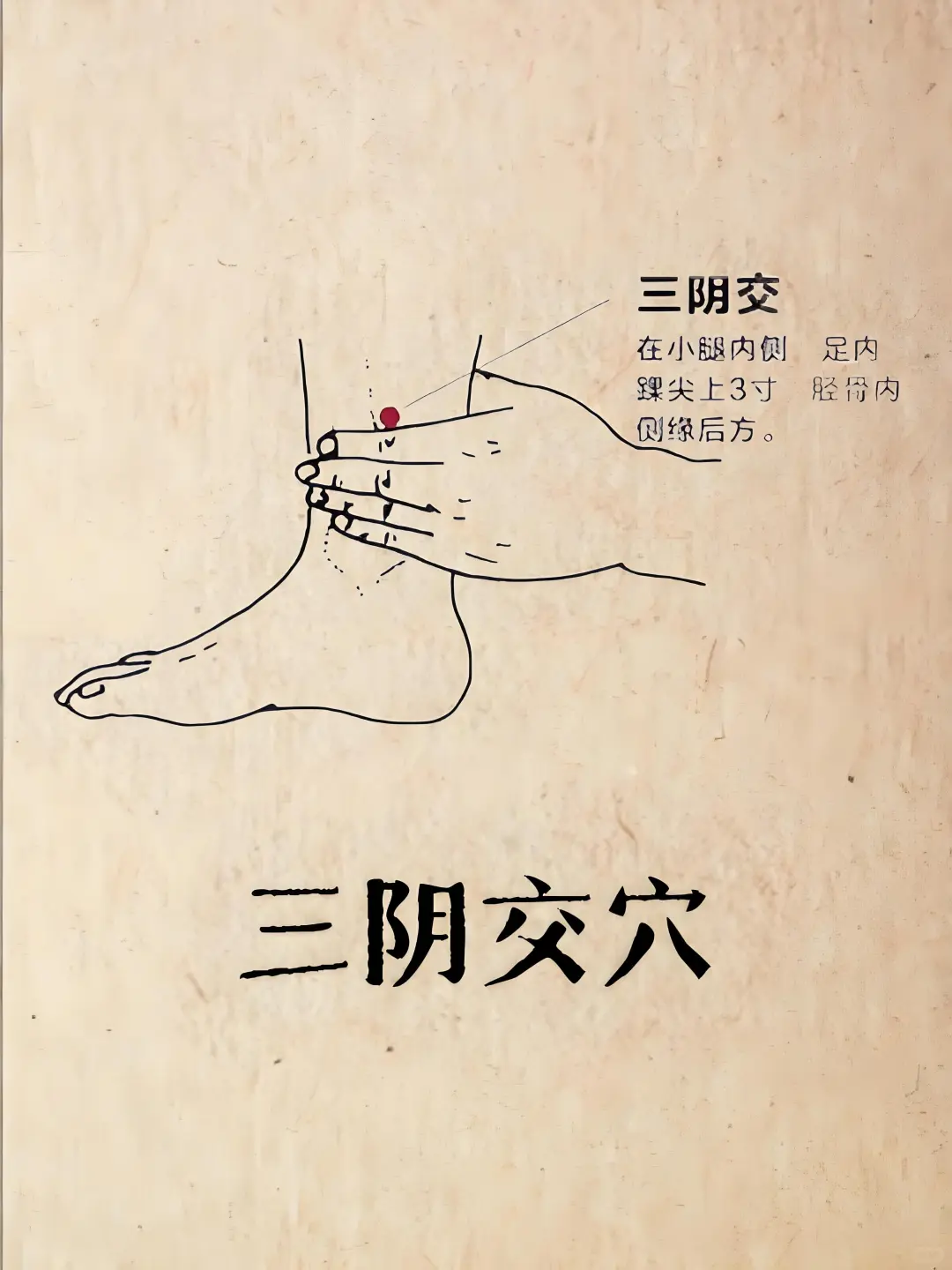 中医为啥建议女性夏天要穿袜子？