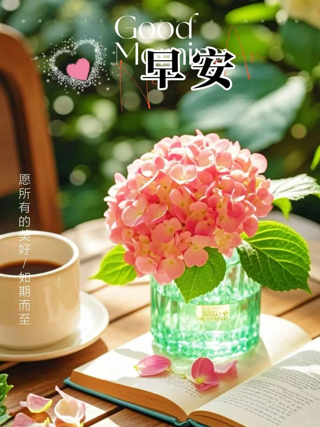 人生最好的状态就是：人静 ，物简，心安 ! 🌹