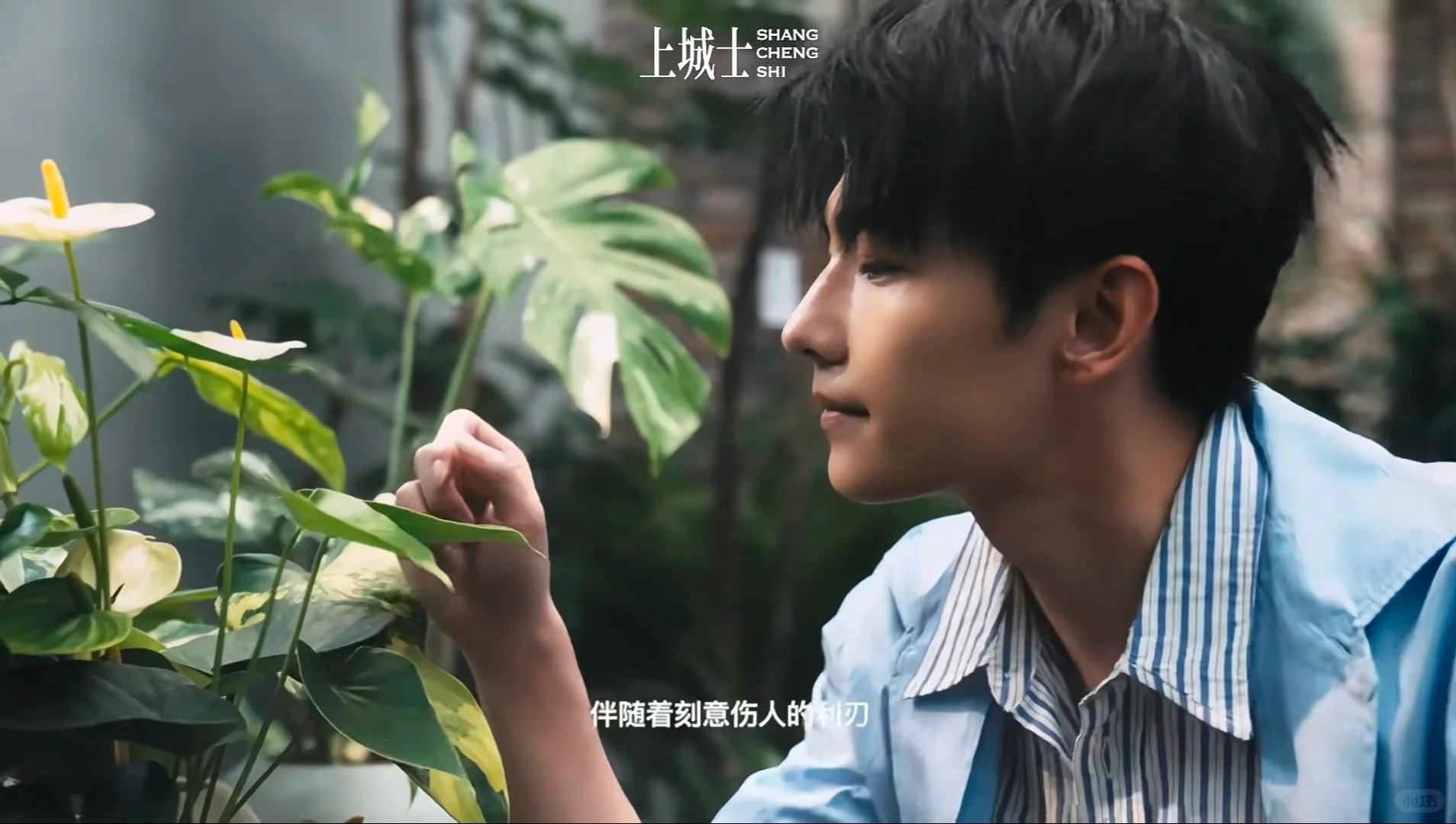杨洋壁纸