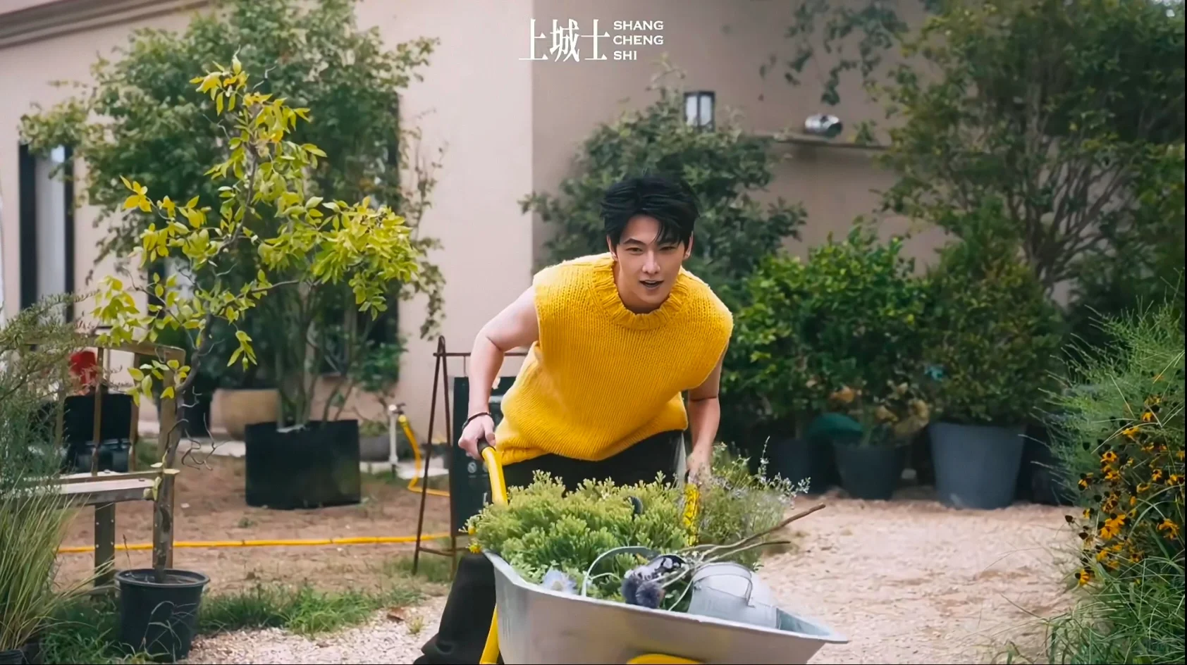 杨洋壁纸