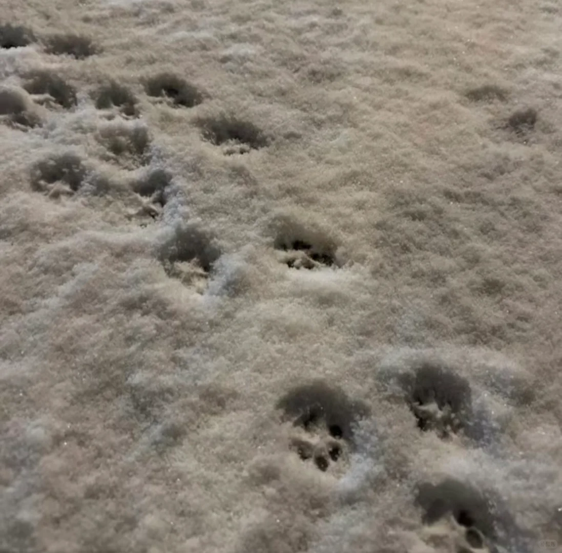宋雨琦不明显背景图（2）