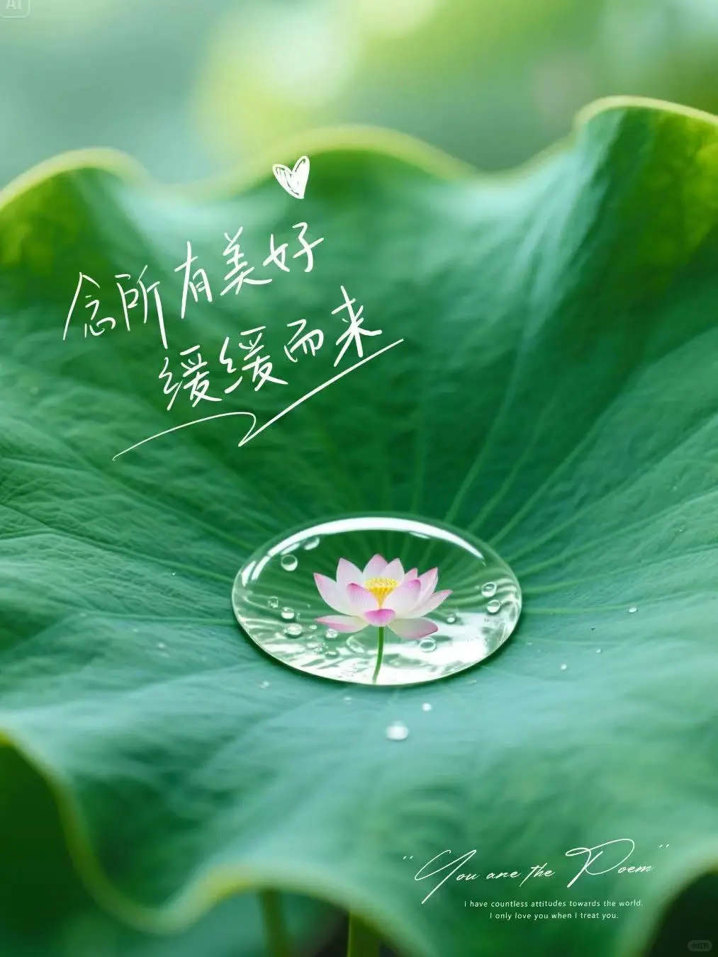 人生最好的状态就是：人静 ，物简，心安 ! 🌹