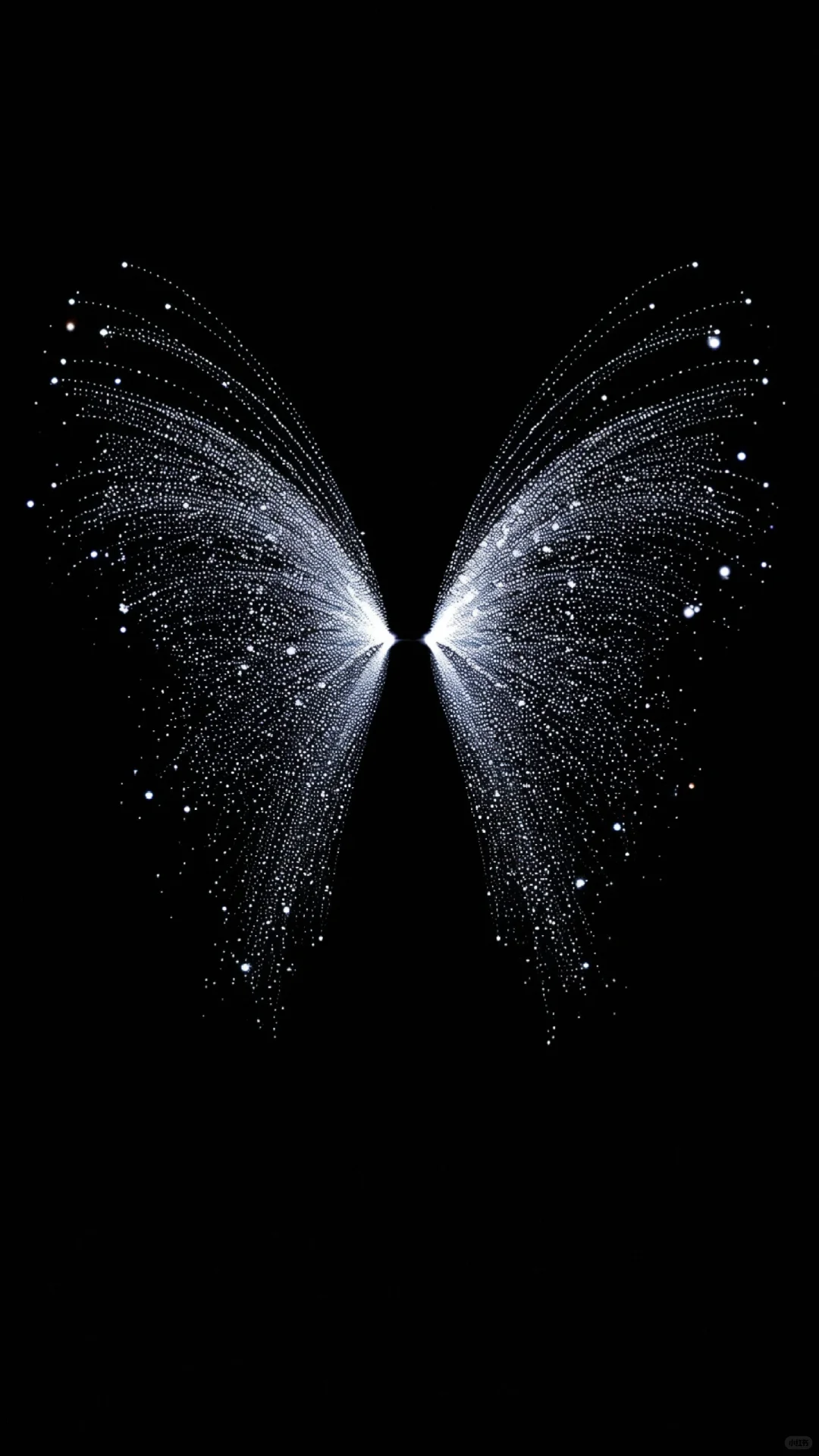 暗黑系｜🦋
