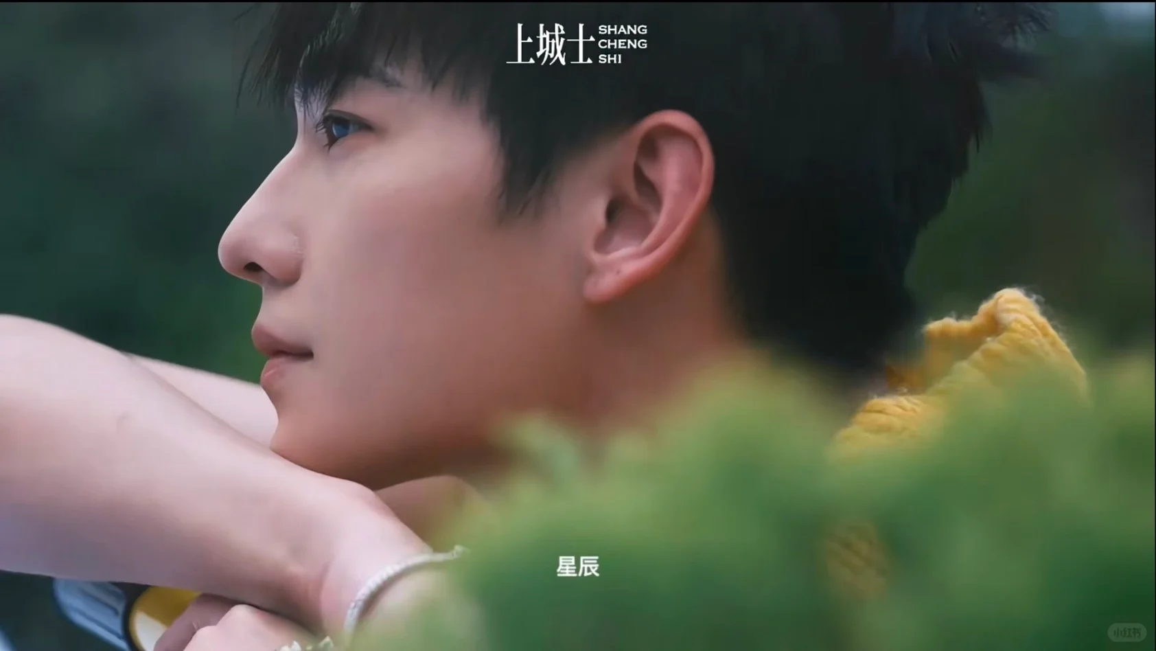 杨洋壁纸