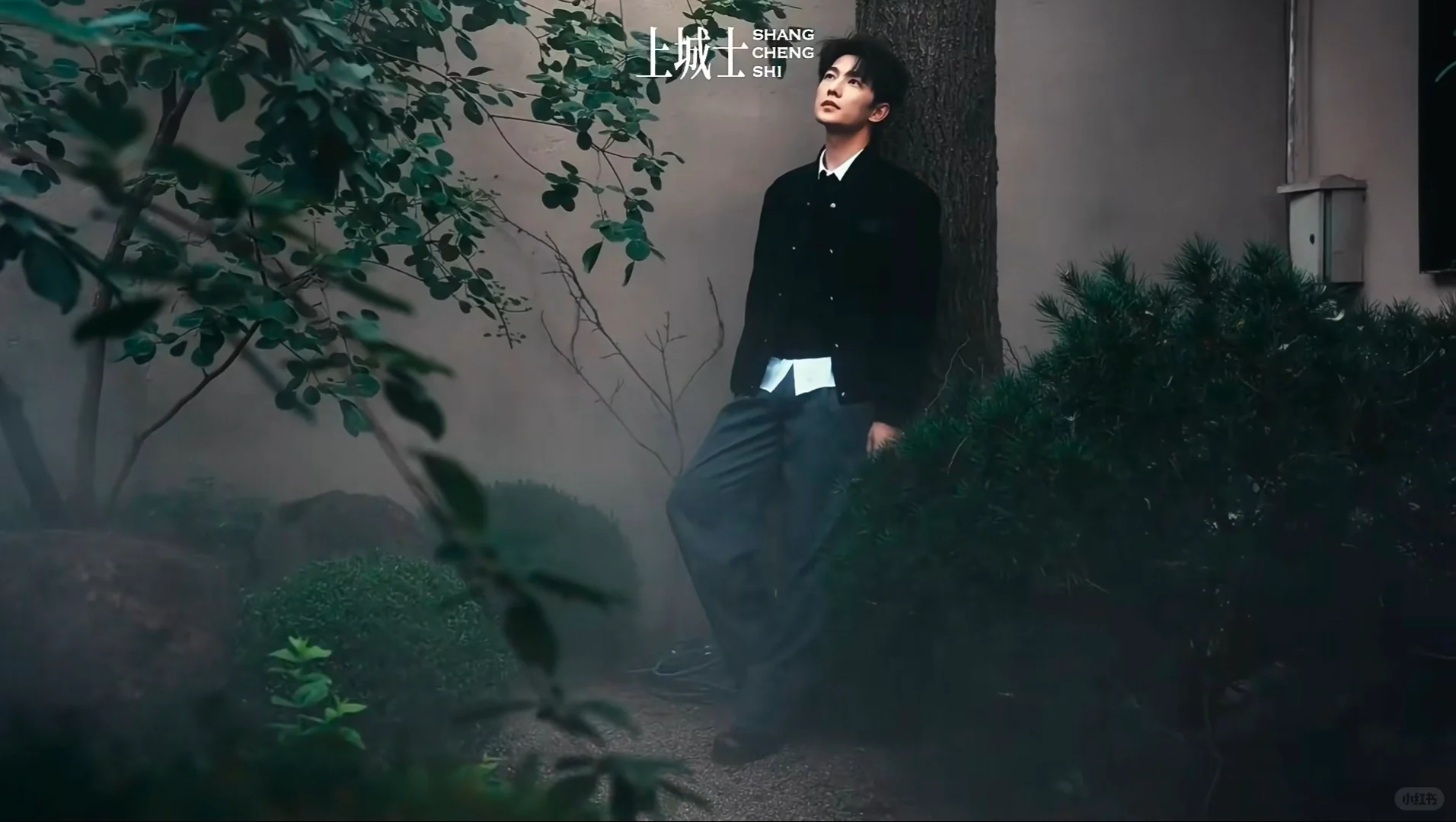 杨洋壁纸
