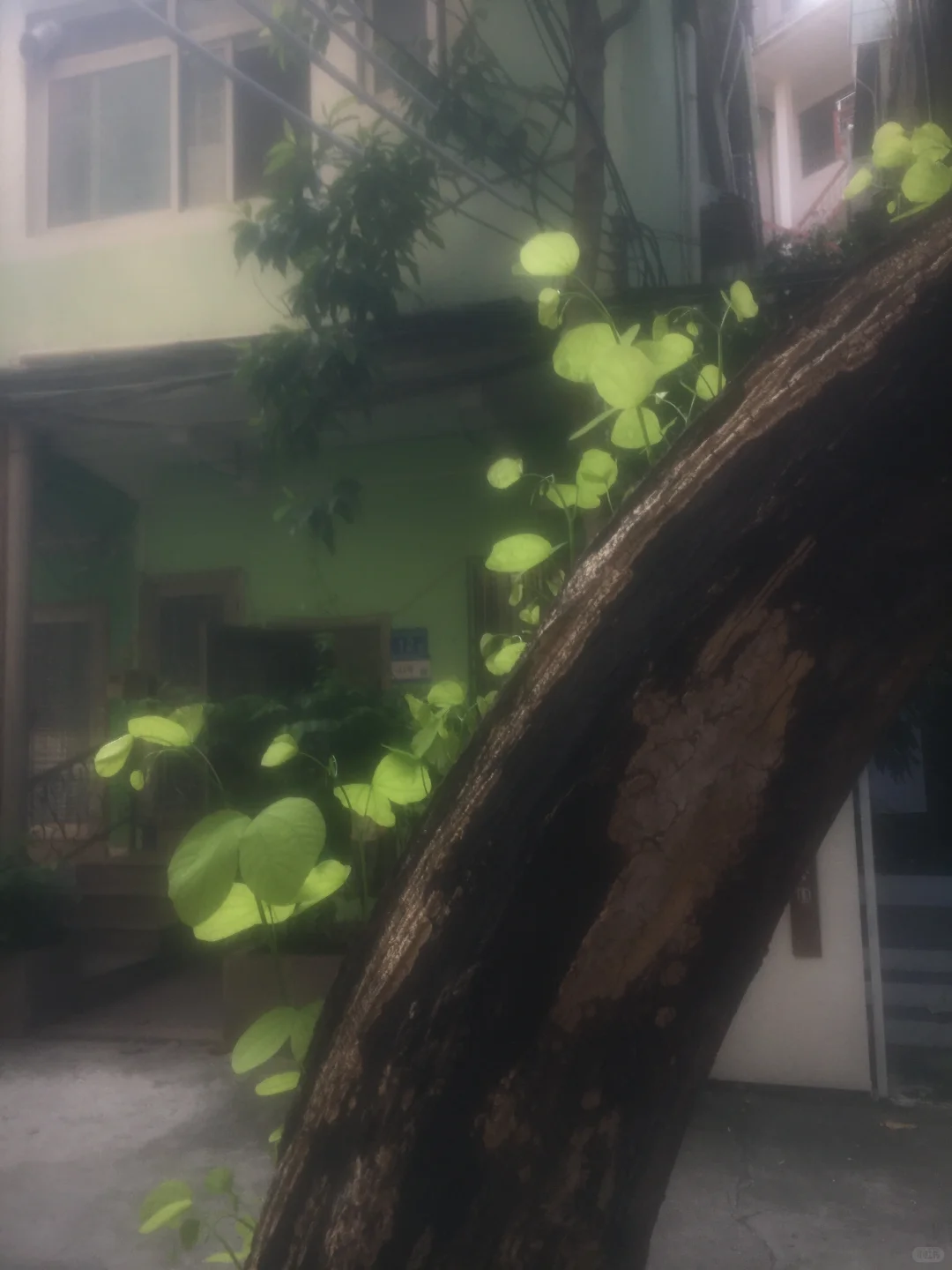 在炎热的夏天，我们无法停止