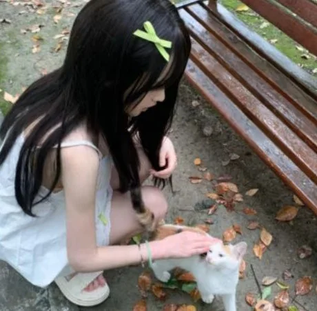 温柔女头推荐 .