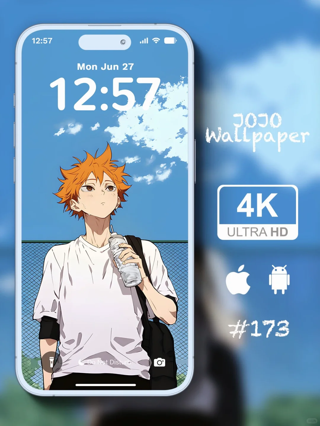 #173壁纸｜排球少年｜帅气的小太阳