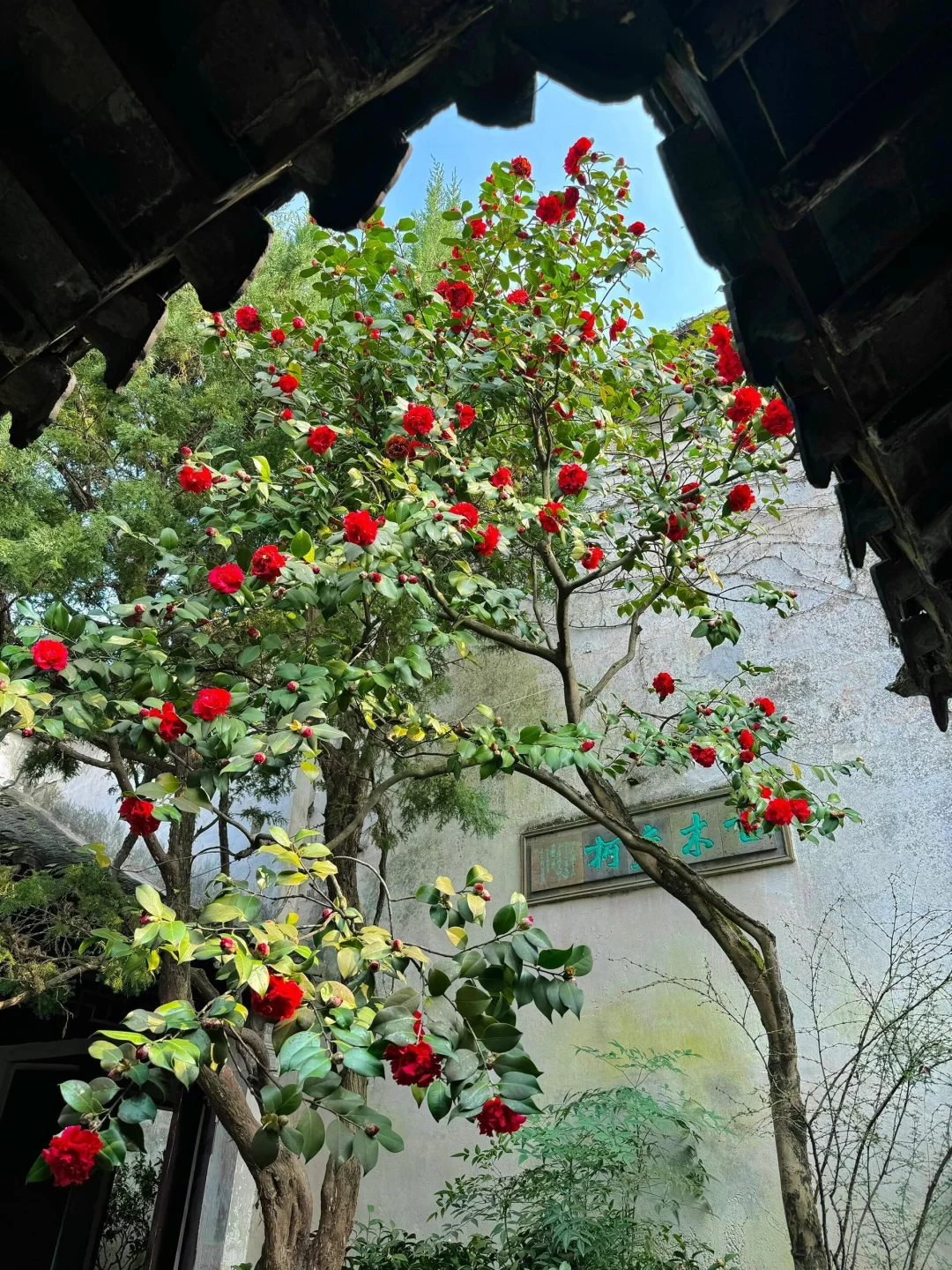 生命是一万次的春和景明