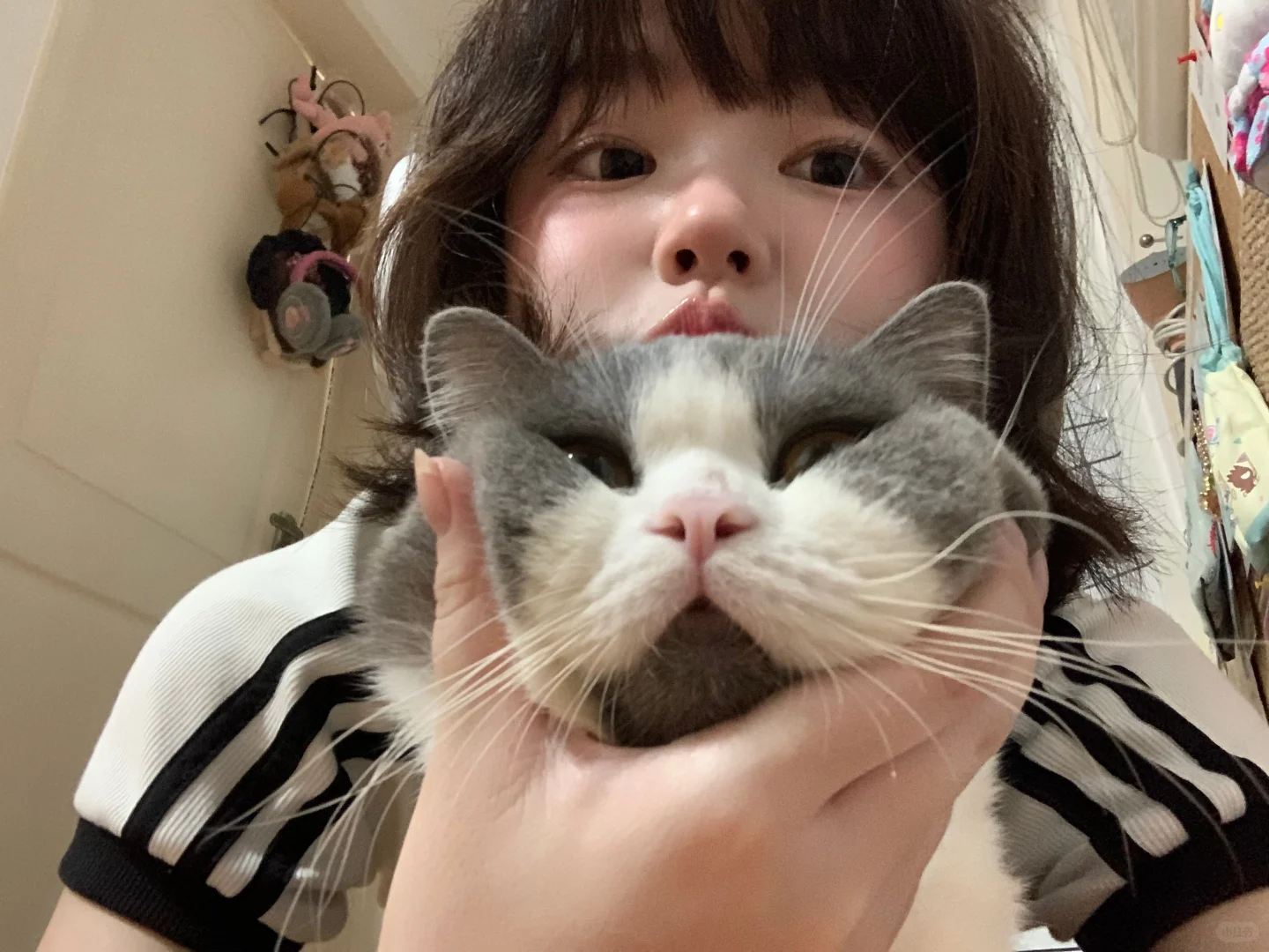 🐈短圆脸˃̵͈̑ᴗ˂七分财