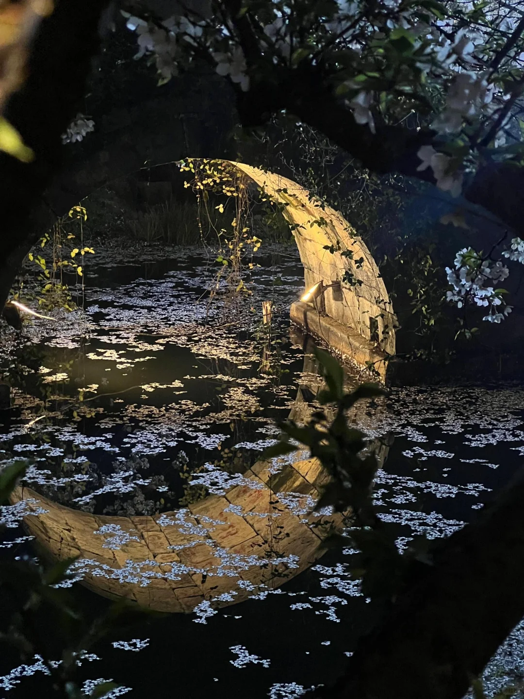 生命是一万次的春和景明