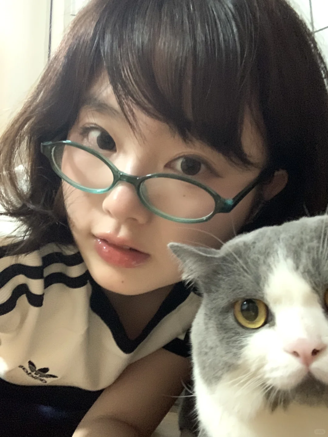 🐈短圆脸˃̵͈̑ᴗ˂七分财
